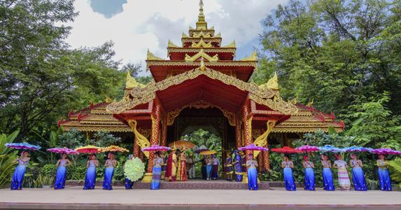 <国际五星喜来登西双版纳轻奢纯玩5日游>般若寺、曼听公园、总佛寺、中科植物园、曼远村、南糯山茶山、原始森林公园、傣族村寨、野象谷、告庄星光夜市双飞五日游