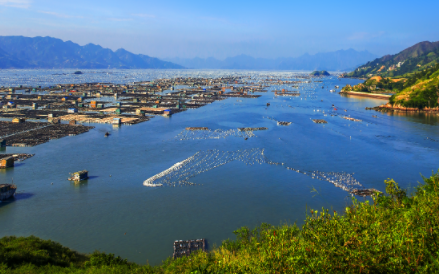 漳泉双城 云水谣纯玩四日游 漳州 云水谣 泉州 漳州古城、云水谣土楼、泉州西街 、非遗木偶戏 、蟳埔村、南少林、洛阳桥 纯玩品质四日游