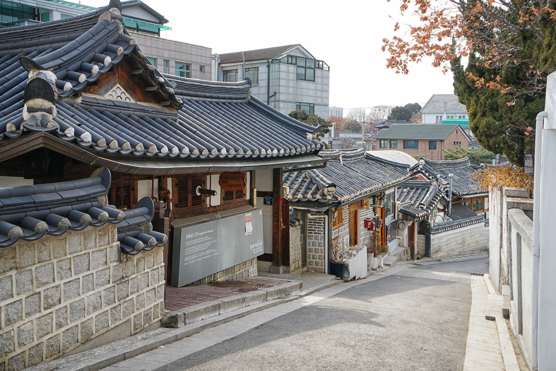 【首进济回】首尔济州岛·汉江公园·森林小火车 涂鸦秀·夜市美食·无自费五天团