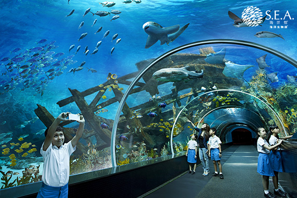 春节优选【新马】新马双园+环球影城+巧克力DIY+太子城+国家皇宫 深圳直飞往返5日