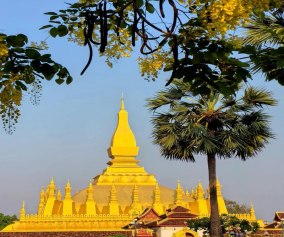 春节优选【老挝】塔銮寺+凯旋门+香昆寺+蓝色泻湖+普西山+国花园区占巴花采摘 7天双飞双动